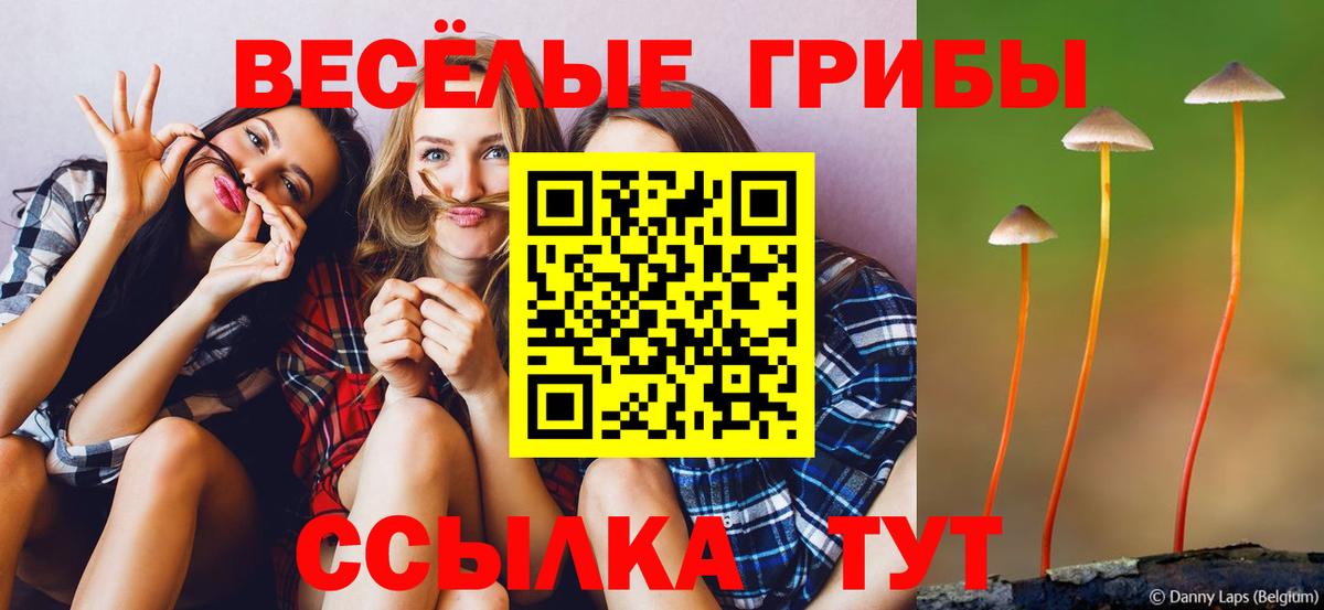 Псилоцибиновые грибы MAGIC MUSHROOMS  Вход с VPN  Псков  Галлюциногенные грибы прущие грибы 