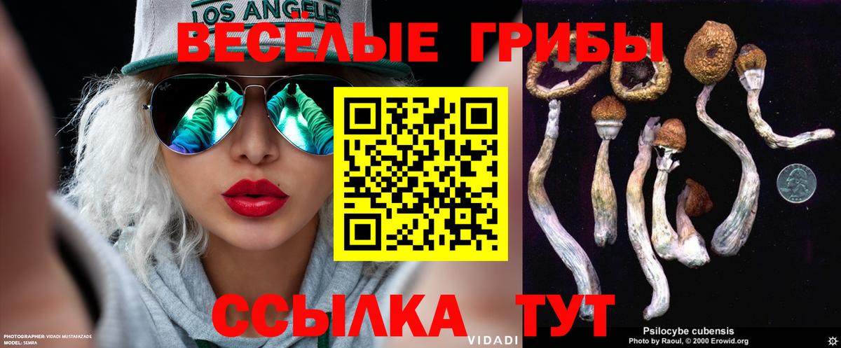 Галлюциногенные грибы мицелий Псков