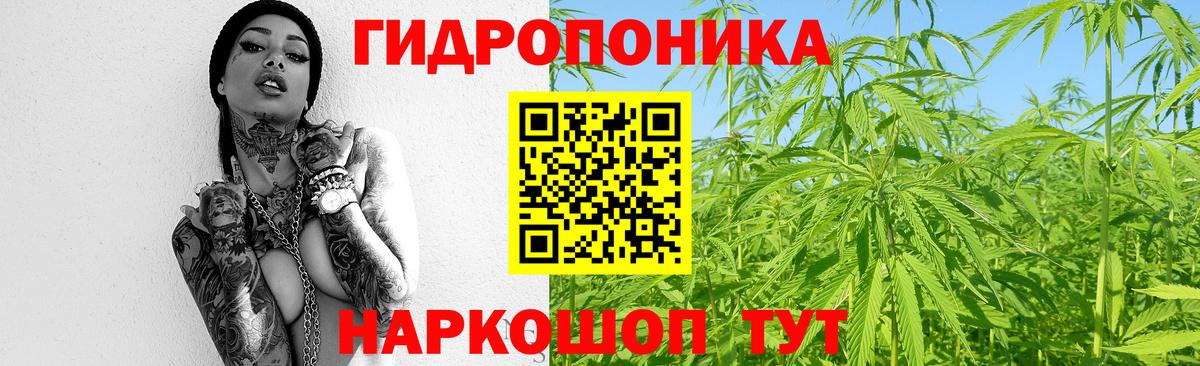 Шишки марихуана индика Псков
